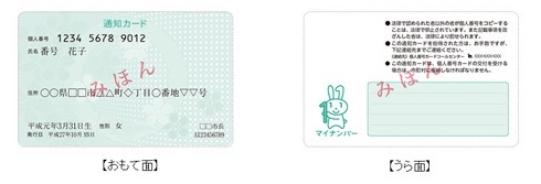 通知カード見本画像