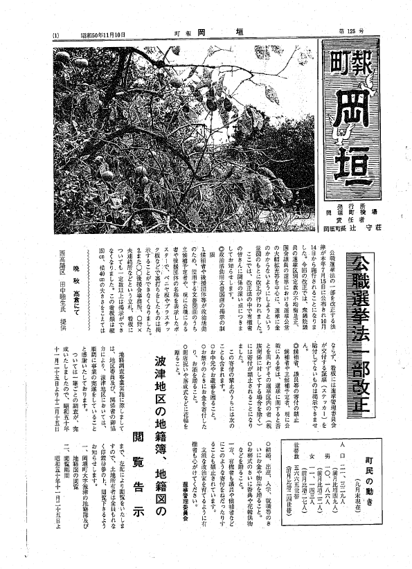 11月（125号）