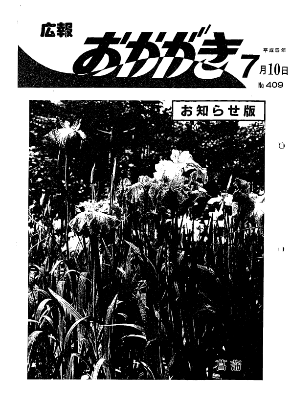 平成5年7月10日（409号）