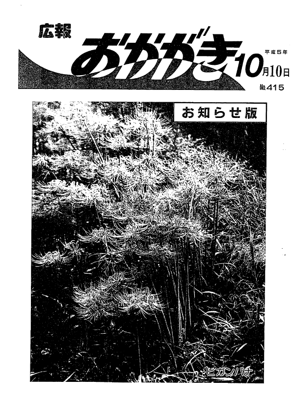 平成5年10月10日（415号）