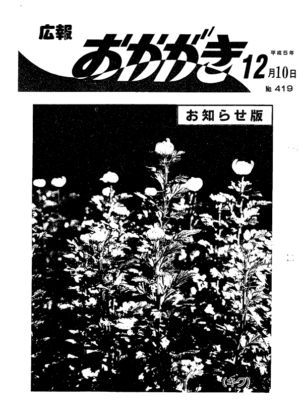 平成5年12月10日（419号）