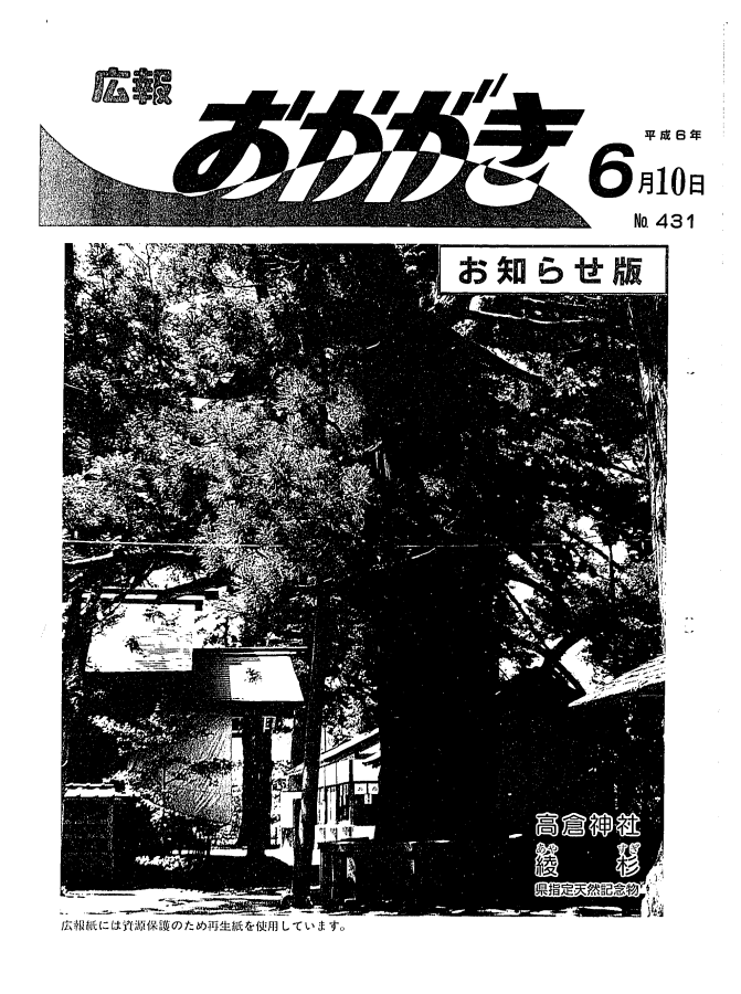 平成6年6月10日（431号）