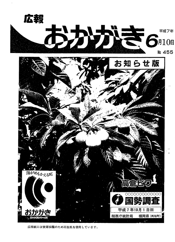 平成7年6月10日（455号）