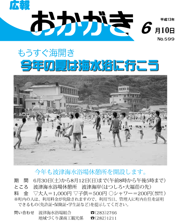 平成13年6月10日（599号）