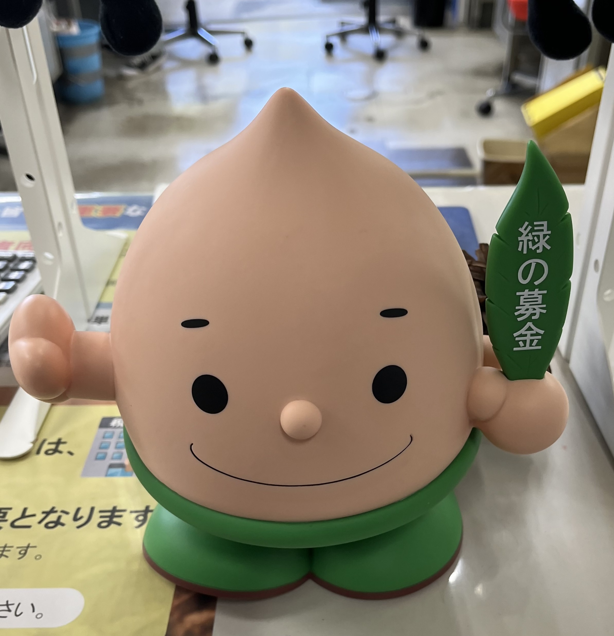 どんぐり君