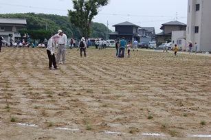 内浦小学校植栽の様子1