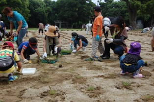 内浦小学校植栽の様子2