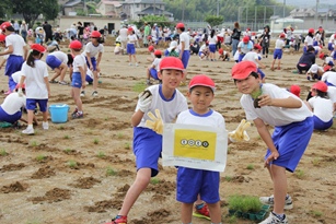 吉木小学校第1グラウンドの芝生化1