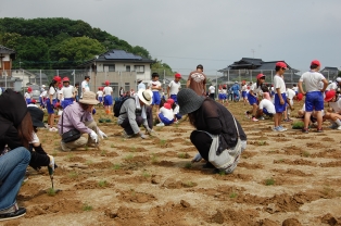 植栽日（6月15日） 