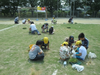 吉木小学校の補植の様子1