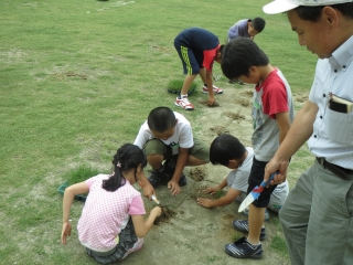 内浦小学校の補植の様子1