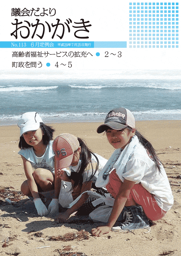 議会だより平成29年7月25日　113号