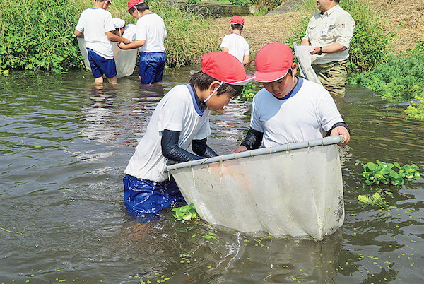 水辺の教室