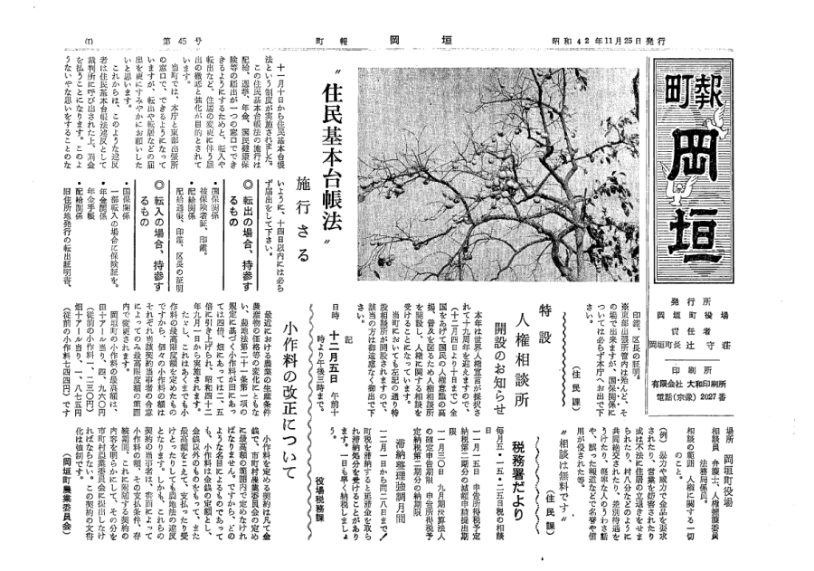 11月（45号）
